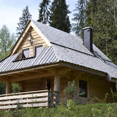 Mountain Chalet Smolenisko Domek W Gorach 新塔尔格 外观 照片