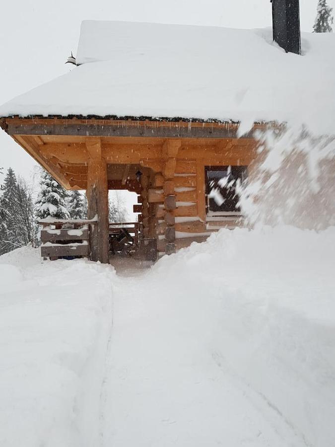 Mountain Chalet Smolenisko Domek W Gorach 新塔尔格 外观 照片