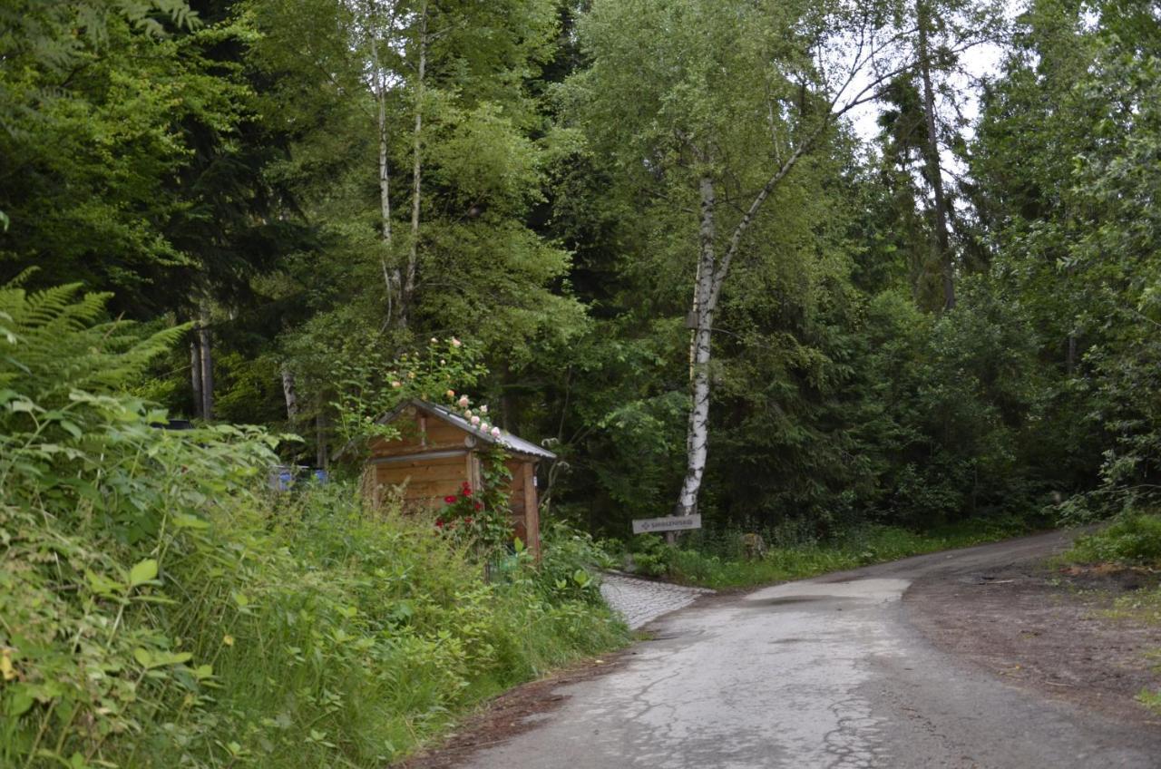 Mountain Chalet Smolenisko Domek W Gorach 新塔尔格 外观 照片