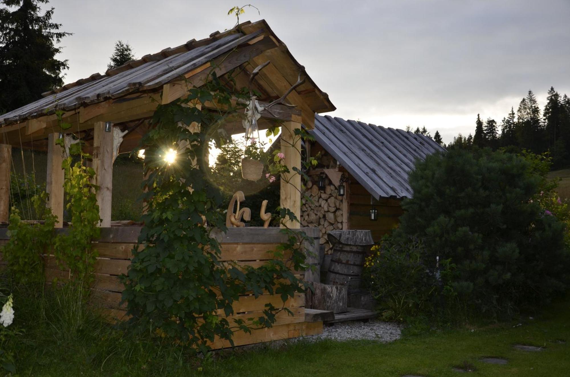 Mountain Chalet Smolenisko Domek W Gorach 新塔尔格 外观 照片