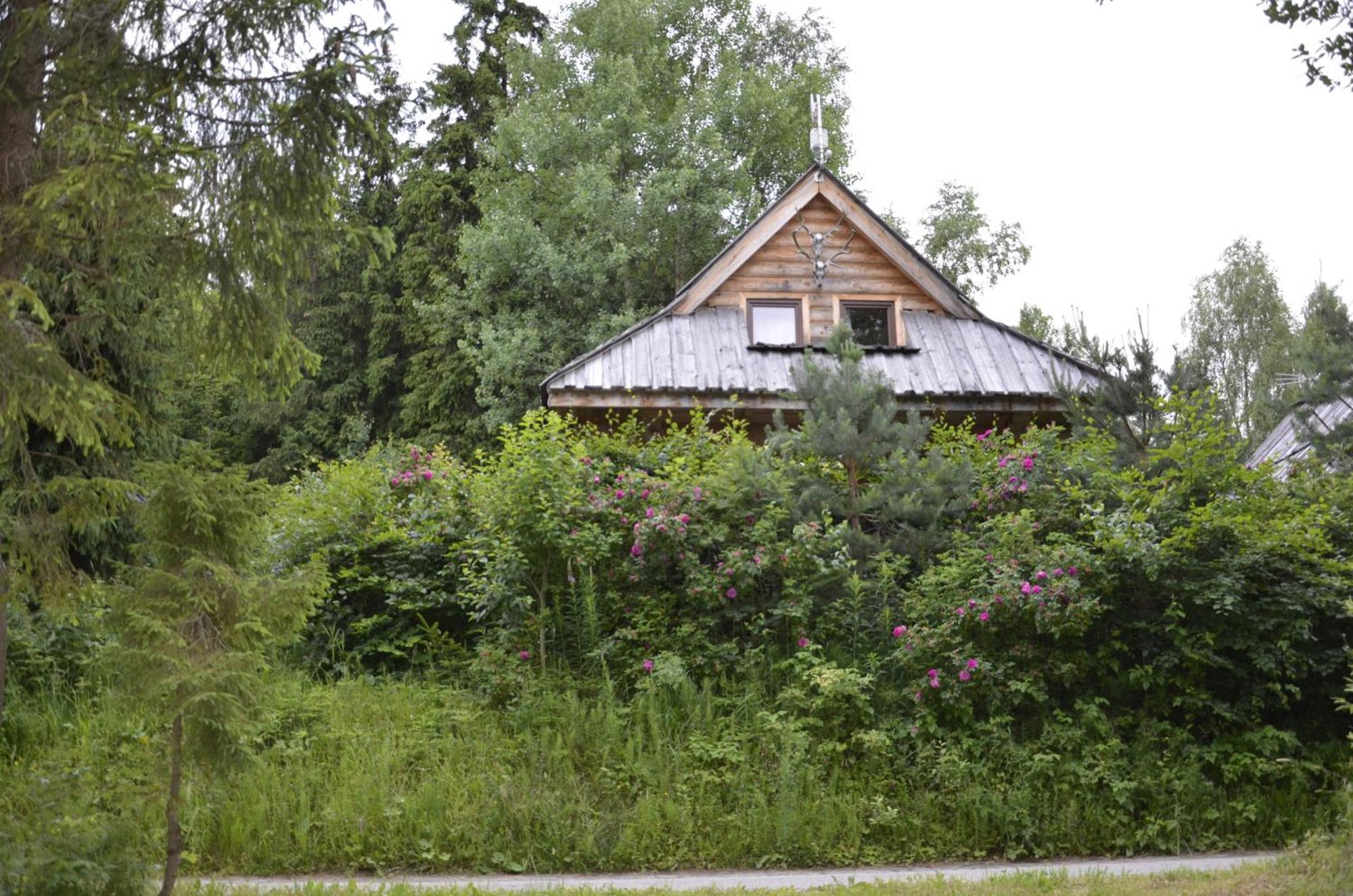 Mountain Chalet Smolenisko Domek W Gorach 新塔尔格 外观 照片