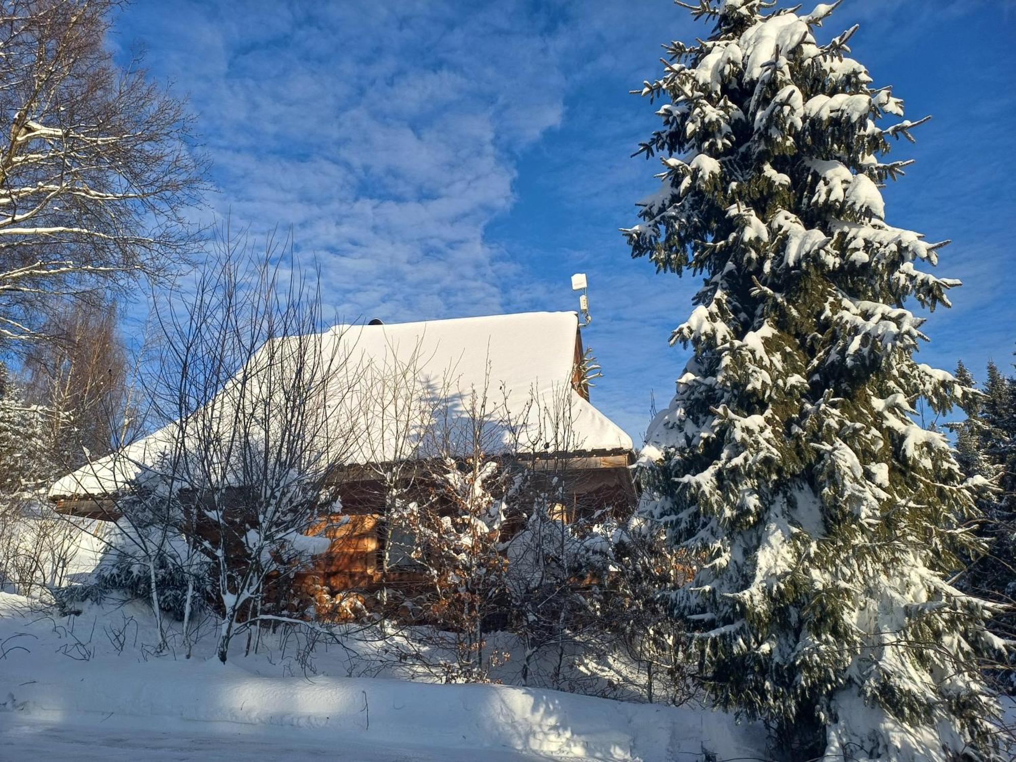 Mountain Chalet Smolenisko Domek W Gorach 新塔尔格 客房 照片